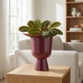 Kvetináč, v tvare misky, moderný štýl, dekoratívny do každej domácnosti a kancelárie, 23 cm | Floristik24.sk