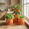 Sada kvetináčov na paradajky, keramické dekoratívne kvetináče do kuchyne a retro dekorácie, 14 cm, sada 3 kusov | Floristik24.sk