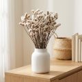 Sušené kvety bielej morskej levandule (Limonium), 60 cm, 35 g | Floristik24.sk