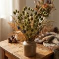 Dekorácia zo sušeného jahodového bodliaka, olivovozelená, Ø1–2cm, D55cm, 100g | Floristik24.sk