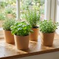 Kvetináč, kvetináč, kvetináč prírodný Ø15cm V13cm 4ks | Floristik24.sk