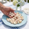 Mušle Umachi 500 g | Floristik24.sk