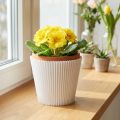 Skladané manžety biele 8,5cm 100 kusov | Floristik24.sk