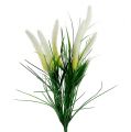 Floristik24 Foxtail Grass Green, White 63cm