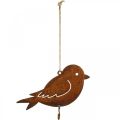 Floristik24 Dekoračný vtáčik, vešiak na jedlo, kovová dekorácia patina 19×13,5cm