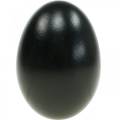 Floristik24 Husacie vajíčka Čierne vyfúknuté vajíčka Veľkonočná dekorácia 12ks