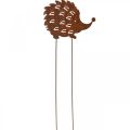 Floristik24 Záhradný kolík ježko hrdza patina ozdobný záhonový kolík 20cm