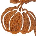 Záhradný kôl s motívom tekvice, kovová dekorácia, hrdzavá úprava, 100 cm | Floristik24.sk