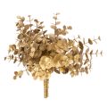 Floristik24 Umelý eukalyptus, zlatá ozdobná vetvička na dekoráciu stola, 24 cm