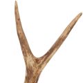 Umelé parohy, realistické,
