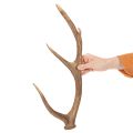 Dekoratívne umelé parohy, rustikálna dekorácia chaty, 50 cm | Floristik24.sk