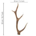 Dekoratívne umelé parohy, rustikálna dekorácia chaty, 50 cm | Floristik24.sk