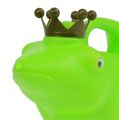 Floristik24 Kanvica Frog King Green 1,7l