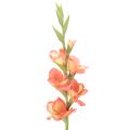 Floristik24 Umelý mečík s mnohými kvetmi na kyticu, 88 cm