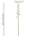 Umelý mečík, dlhá stonka, do vázy, 88 cm | Floristik24.sk