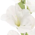 Umelý mečík, dlhá stonka, do vázy, 88 cm | Floristik24.sk