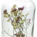 Floristik24 Pohár so svietnikom, sklenená dekorácia so sušenými kvetmi V16cm Ø8,5cm
