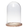 Floristik24 Sklenený zvonček s dreveným tanierom sklenená dekorácia Ø17cm V25cm