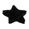 Floristik24 Trblietavá hviezda čierna 2,5 cm 100p