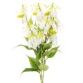 Floristik24 Umelý kvet Gloriosa, biely a žltý, elegantná kvitnúca vetvička na dekoráciu, 80 cm, 3 kusy