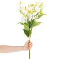 Umelý kvet Gloriosa, biely a žltý, elegantná kvitnúca vetvička na dekoráciu, 80 cm, 3 kusy | Floristik24.sk