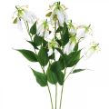 Floristik24 Umelá ľalia, kvetinová dekorácia, umelá rastlina, hodvábny kvet biely L82cm 3ks