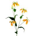 Floristik24 Konár Gloriosa oranžovo-žltý 90cm 1ks