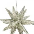 Floristik24 Trblietavé hviezdičky na zavesenie šampanských vianočných ozdôb 7,5 cm 8 kusov