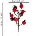 Umelá vetvička granátového jablka s rozvetvenými stonkami ako dekorácia vázy, 19 cm, 4 kusy | Floristik24.sk