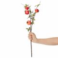 Umelá vetvička granátového jablka ako ovocná vetvička na dekoráciu stola, 68 cm | Floristik24.sk