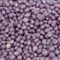 Floristik24 Granule 2mm - 4mm Purple Brilliant Light 1l