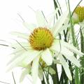 Floristik24 Umelá tráva s echinaceou v bielom črepníku 52cm