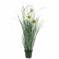 Floristik24 Umelá tráva s echinaceou v bielom črepníku 56cm