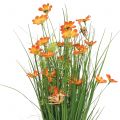 Floristik24 Zväzok trávy s kvetmi a motýľmi Orange 70cm
