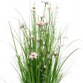 Floristik24 Trs trávy s ružovými kvetmi 70cm