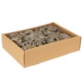Dekoratívny mach, sivý mach na remeslá, 500g | Floristik24.sk