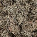 Dekoratívny mach, sivý mach na remeslá, 500g | Floristik24.sk