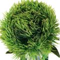 Floristik24 Zelený klinček fúzatý umelý kvet ako zo záhrady 54cm
