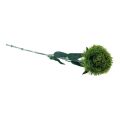 Floristik24 Zelený klinček fúzatý umelý kvet ako zo záhrady 54cm