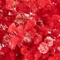 Sušený zväzok gypsofily (baby's breath) 75 cm 100 g | Floristik24.sk