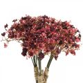 Floristik24 Gypsophila umelé červené umelé kvety jesenné 29,5cm 18ks