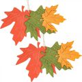 Floristik24 Jesenný deko prívesok drevo listy javorový list 22cm 4ks