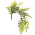 Floristik24 Umelá vetvička papradia, jemná, do vázy, 80 cm