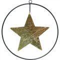 Floristik24 Vianočná dekorácia prívesok hviezda zlatá čierna 12,5cm 3ks