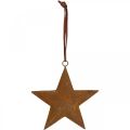 Floristik24 Vianočný prívesok hviezda kovová hviezda hrdzavý vzhľad V13,5cm