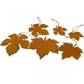 Floristik24 Jesenná dekorácia listy kovový hrdzavý vzhľad javorový list 6 kusov