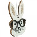 Floristik24 Drevený prívesok králik s okuliarmi mrkvový trblietok 4×7,5cm 9ks