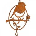 Floristik24 Kovový vtáčik na zavesenie, kŕmne miesto, vtáčik s patinou háčika 11,5×13cm