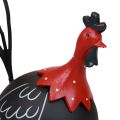 Floristik24 Kohút veľkonočná dekorácia kovová dekorácia kura čierna červená V13,5cm