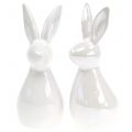 Floristik24 Deco králik biely perleť 15,5cm 2ks